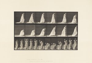 Tavola 209. Chinarsi e sollevare un fazzoletto, 1885 da Eadweard Muybridge