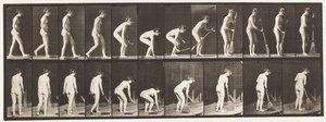 Tavola 219. Chinarsi e sollevare una scopa e spazzare da Eadweard Muybridge