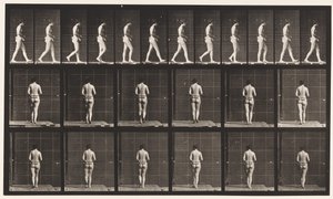 Piastra 21. Camminare, entrambi i gomiti piegati da Eadweard Muybridge