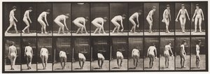 Chinarsi e sollevare un fazzoletto e girarsi (tavola 220) da Eadweard Muybridge