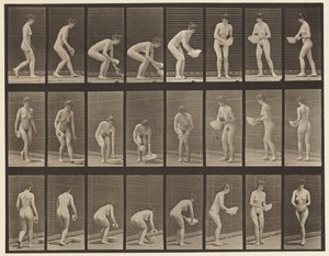 Chinarsi e sollevare una bacinella, pulirla e girarsi da Eadweard Muybridge