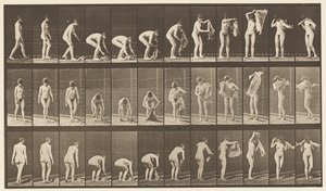 Tavola 227. Sollevare un panno da terra, 1872-1885 da Eadweard Muybridge