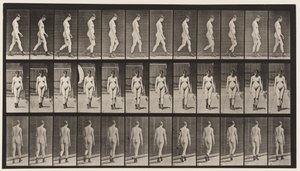 Tavola 22. Camminare, con stivali con tacco alto, 1872-1885 da Eadweard Muybridge