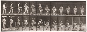 Tavola 237. Sedersi su una sedia e aprire un ventaglio, 1872-1885
