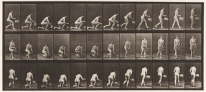 Inginocchiarsi sul Ginocchio Sinistro, Cesto nella Mano Sinistra, e Alzarsi, 1872-1885 da Eadweard Muybridge