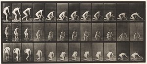 Tavola 252. Inginocchiarsi sul ginocchio destro e strofinare il pavimento, 1872-1885 da Eadweard Muybridge