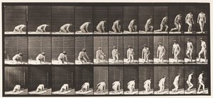 Tavola 255. Alzarsi da inginocchiato e girarsi da Eadweard Muybridge