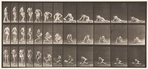 Tavola 256. Sdraiarsi a terra e leggere, 1872-1885 da Eadweard Muybridge