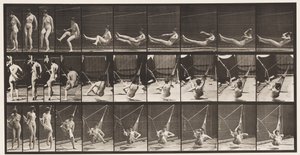 Entrare in un Amaca, 1872-1885 da Eadweard Muybridge