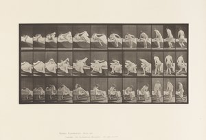 Tavola 264. Alzarsi dal letto e prepararsi a inginocchiarsi da Eadweard Muybridge