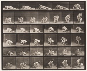 Piastra 270. Alzarsi da terra con un opuscolo nella mano sinistra da Eadweard Muybridge