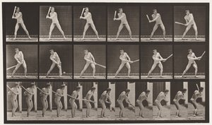 Tavola 275. Baseball; battere (palla bassa)