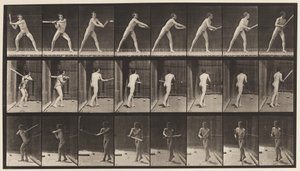 Tavola 277. Baseball; battuta