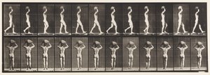 Tavola 27. Camminare, portando una pietra di 70 libbre sulla testa, mani alzate da Eadweard Muybridge