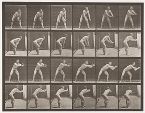 Tavola 280. Baseball; prendere la palla, 1885 da Eadweard Muybridge