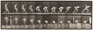 Tavola 287. Baseball; correre e raccogliere la palla