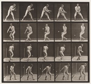 Tavola 288. Baseball; Errore da Eadweard Muybridge