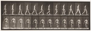 Tavola 28. Camminare, portando un manubrio da 50 libbre nella mano destra, 1872-1885 da Eadweard Muybridge