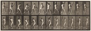 Tavola 292. Cricket; battere; schiena fuori, 1885 da Eadweard Muybridge