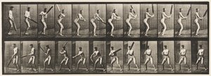Cricket; battuta; taglio posteriore, 1885 da Eadweard Muybridge