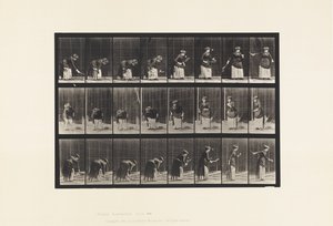 Tavola 295. Tennis su prato; Servizio da Eadweard Muybridge