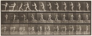 Tavola 301. Calcio; Punt, 1885