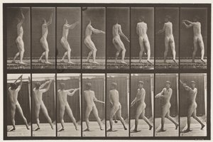 Tavola 309. Lanciare il martello da Eadweard Muybridge