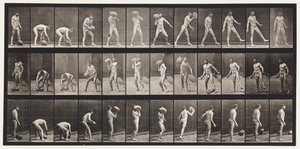 Tavola 317. Sollevare una roccia di 70 libbre da Eadweard Muybridge