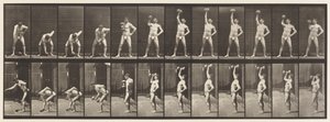 Piastra 320. Sollevamento di un manubrio da 50 libbre da Eadweard Muybridge