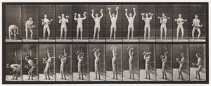 Piastra 322. Sollevamento e abbassamento di due manubri da 50 libbre da Eadweard Muybridge