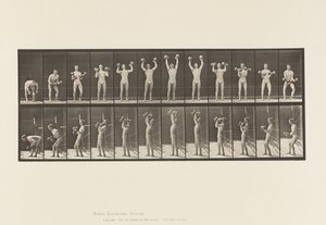 Uomo che solleva manubri da Eadweard Muybridge