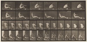 Tavola 328. Canottaggio da Eadweard Muybridge