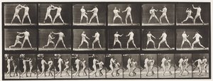 Boxe; (scarpe) da Eadweard Muybridge