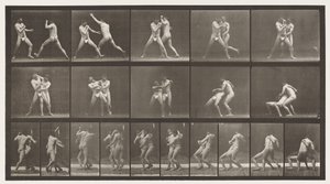 Boxe; Fermarsi per Cross-Buttocks da Eadweard Muybridge