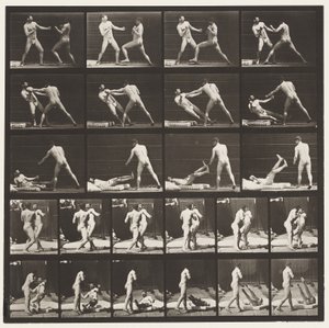 Boxe; 53 che butta giù 52 (scarpe) da Eadweard Muybridge