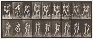 Boxe; Mano Aperta da Eadweard Muybridge