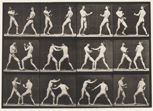 Boxe; mano aperta (con scarpe) (tavola 338)