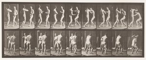 Boxe; Mano Aperta da Eadweard Muybridge