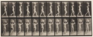Tavola 33. Camminare, cestino da 14 libbre sulla testa, mani alzate, 1872-1885 da Eadweard Muybridge