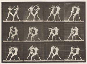 Piastra 340. Boxe; mano aperta da Eadweard Muybridge