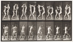 Tavola 341. Pugilato; mano aperta da Eadweard Muybridge