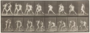 Boxe; Mano Aperta, 1872-1885 da Eadweard Muybridge