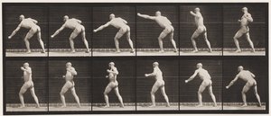 Tavola 343. Sferrare un colpo (mano sinistra) da Eadweard Muybridge