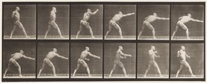 Tavola 344. Sferrare un colpo (mano destra) da Eadweard Muybridge