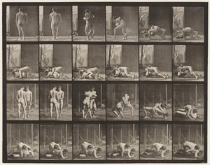 Tavola 346. Lotta, presa da Eadweard Muybridge