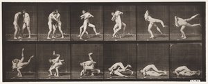 Tavola 347. Lotta, Greco-Romana, 1885