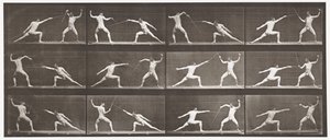 Scherma da Eadweard Muybridge