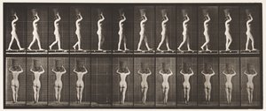 Tavola 34. Camminare da Eadweard Muybridge