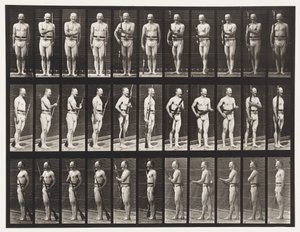 Fissare e Sganciare le Baionette, 1872-1885 da Eadweard Muybridge