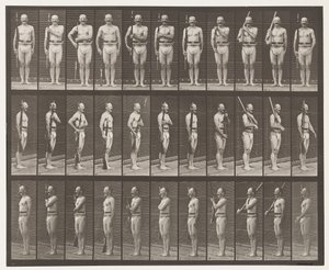 Spalla, ordine e portare armi (tavola 352) da Eadweard Muybridge